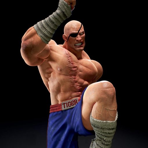 Street Fighter – Sagat Statue | 3D Print Model | STL Files